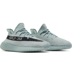 Adidas Yeezy Boost 350 V2 Salt< Trainers
