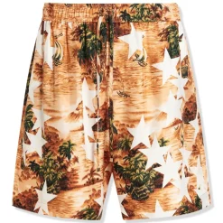 Amiri Tropical Star Orange Swim Shorts< Swimwear|Shorts