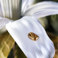 Bvlgari Le Gemme Tygar Eau De Parfum< Fragrance