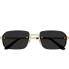 Cartier Eyewear CT0460S-001 Gold Grey Sunglasses< Sunglasses