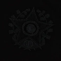 Dior CD Étoile Embroidered Oversized Black T Shirt< T-shirts
