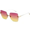 Dita Eyewear Embra Brushed Rose Gold Silver Sunglasses< Sunglasses