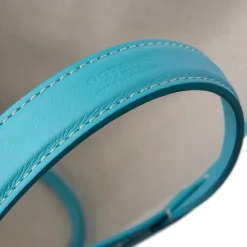 Goyard Belharra Turquoise PM Tote Bag< Bags