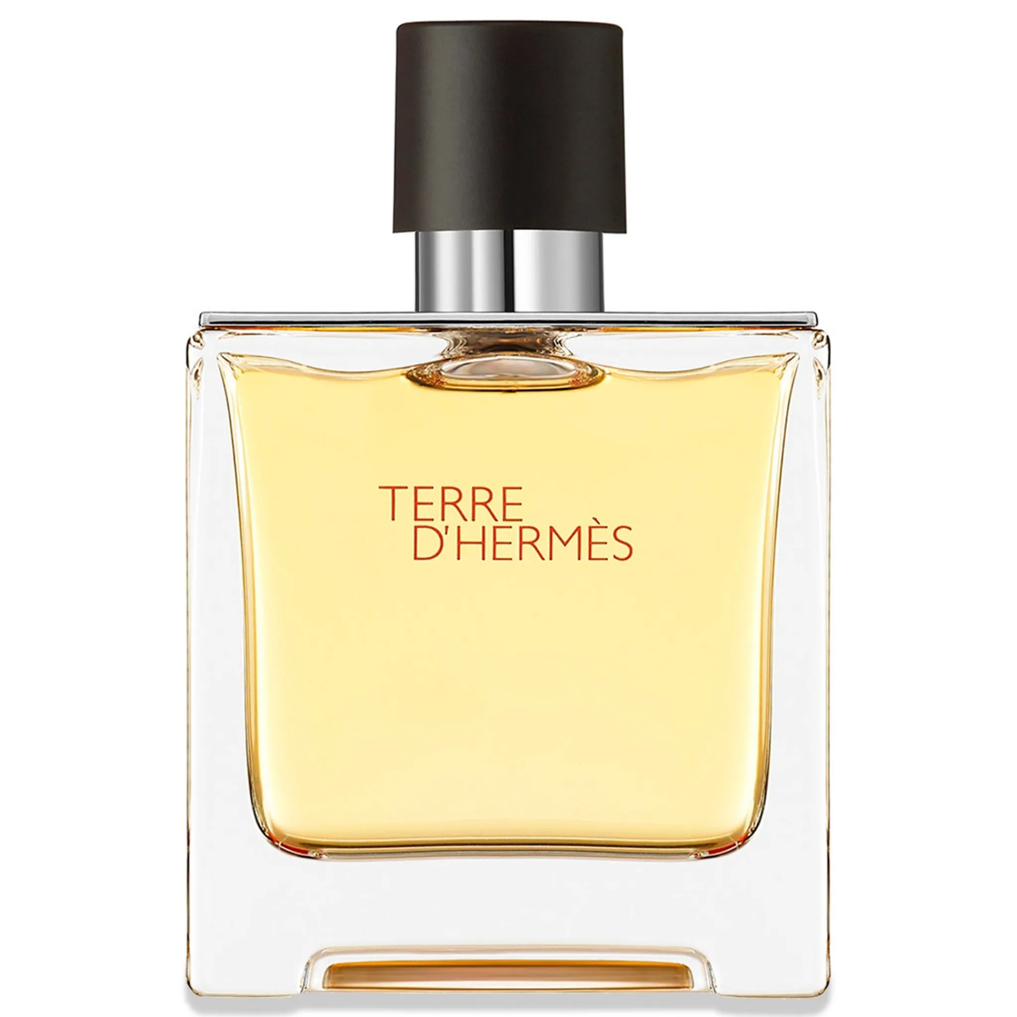 Hermès Paris Terre D'Hermès Eau De Parfum 100ml< Fragrance