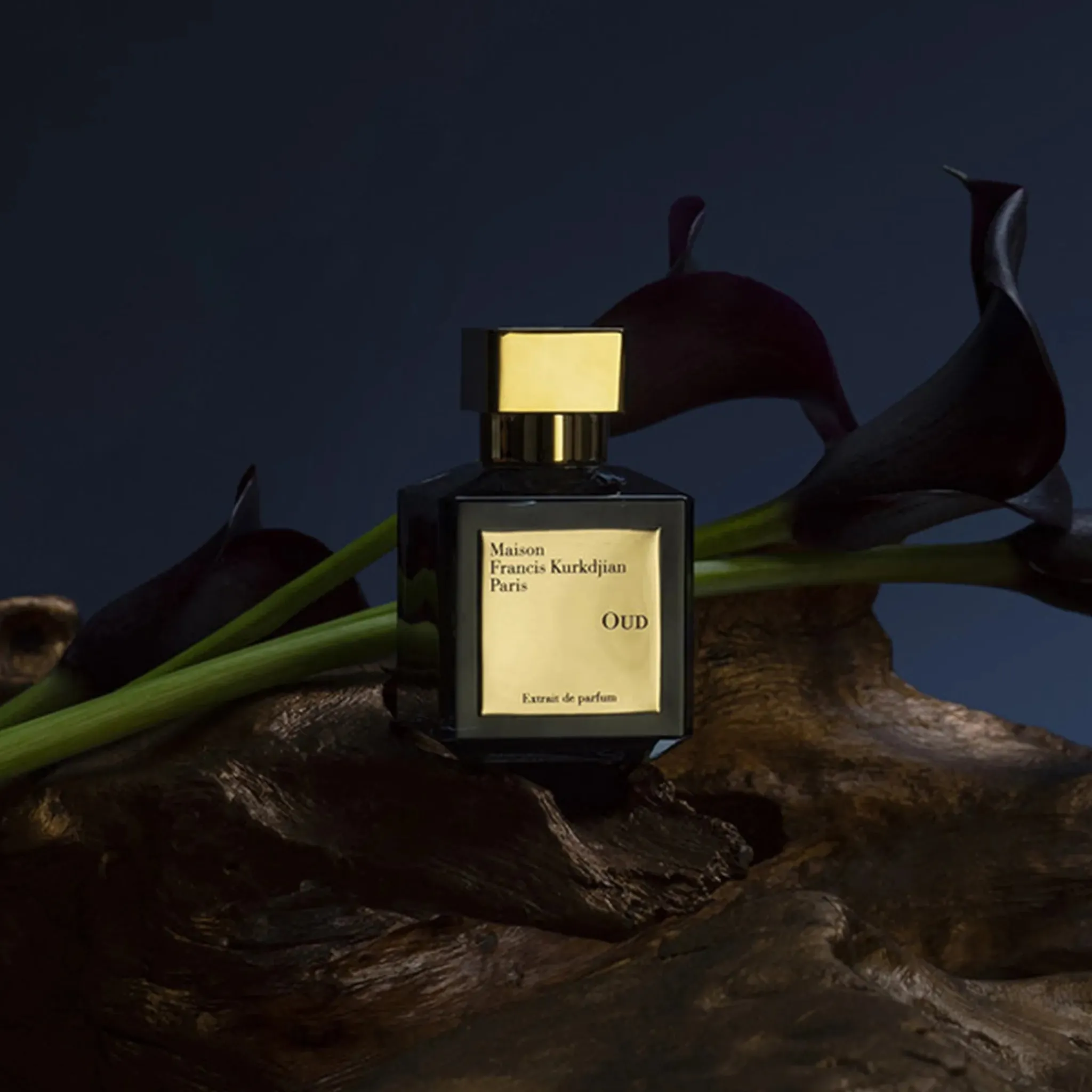 Maison Francis Kurkdjian Oud Extrait De Parfum 70ml< Fragrance