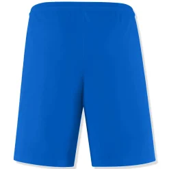 Nike Dri-FIT Park III Royal Blue White T Shirt & Shorts< Activewear|Shorts