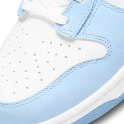 Nike Dunk High Aluminum (W)< Trainers