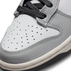 Nike Dunk Low Light Smoke Grey (W)< Trainers