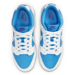 Nike Dunk Low Reverse UNC (W)< Trainers