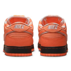 Nike SB Dunk Low Concepts Orange Lobster< Trainers