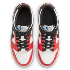 Nike X NBA Dunk Low EMB 75TH Anniversary Chicago (GS)< Trainers