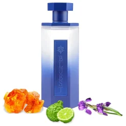 REEF Perfumes REEF Bluest Eau De Parfum 200ml< Fragrance
