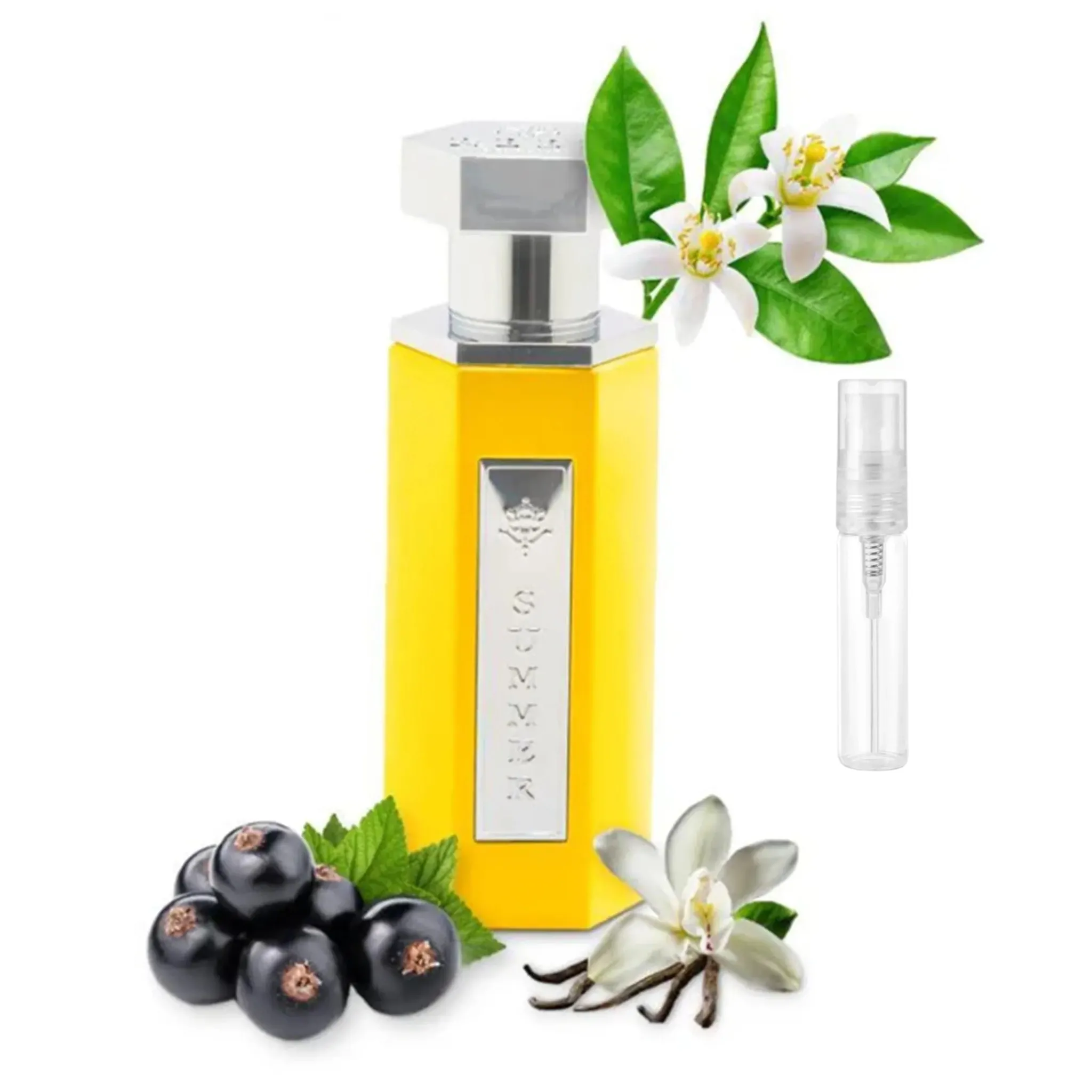 REEF Perfumes REEF Summer Yellow Eau De Parfum SAMPLE - 2ml< Fragrance