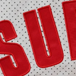 Supreme Ultrasuede Mesh Grey Baseball Shorts< Shorts