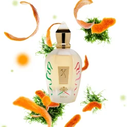 Xerjoff 1861 Decas Eau De Parfum< Fragrance