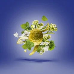 Xerjoff ATP Torino23 Eau De Parfum< Fragrance